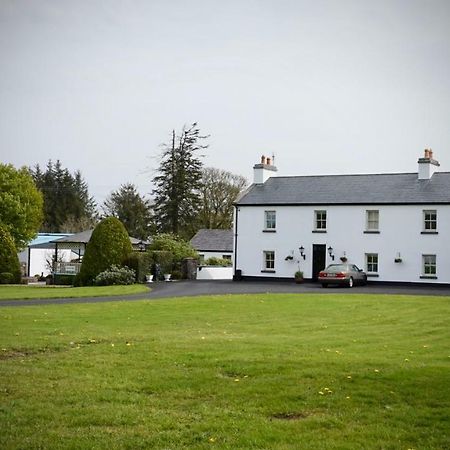 Bed and Breakfast Cartron House Ballinakill  Екстер'єр фото