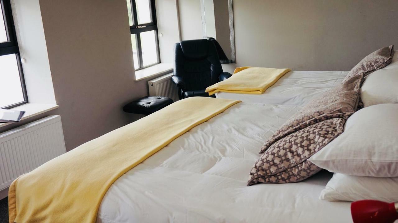 Bed and Breakfast Cartron House Ballinakill  Екстер'єр фото