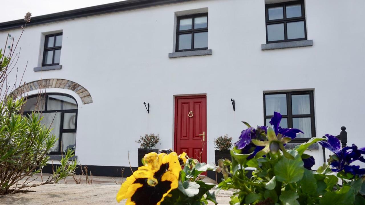 Bed and Breakfast Cartron House Ballinakill  Екстер'єр фото
