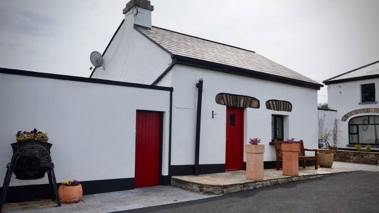 Bed and Breakfast Cartron House Ballinakill  Екстер'єр фото