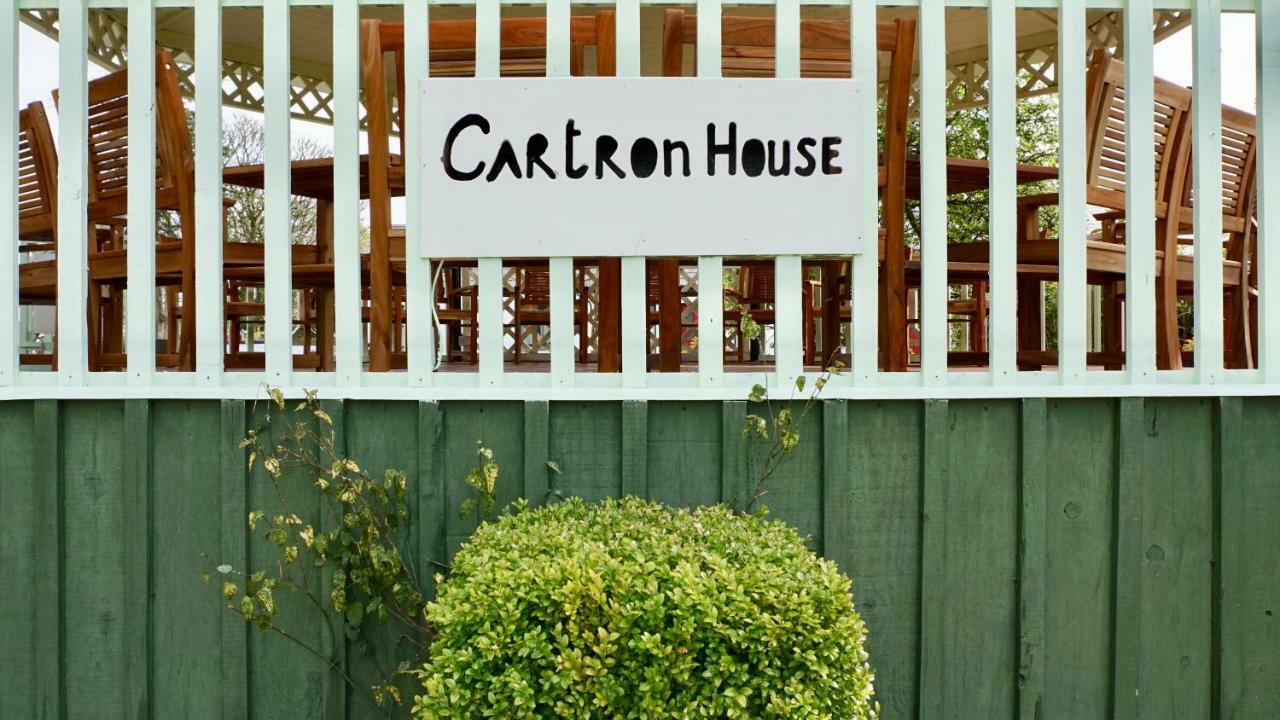 Bed and Breakfast Cartron House Ballinakill  Екстер'єр фото