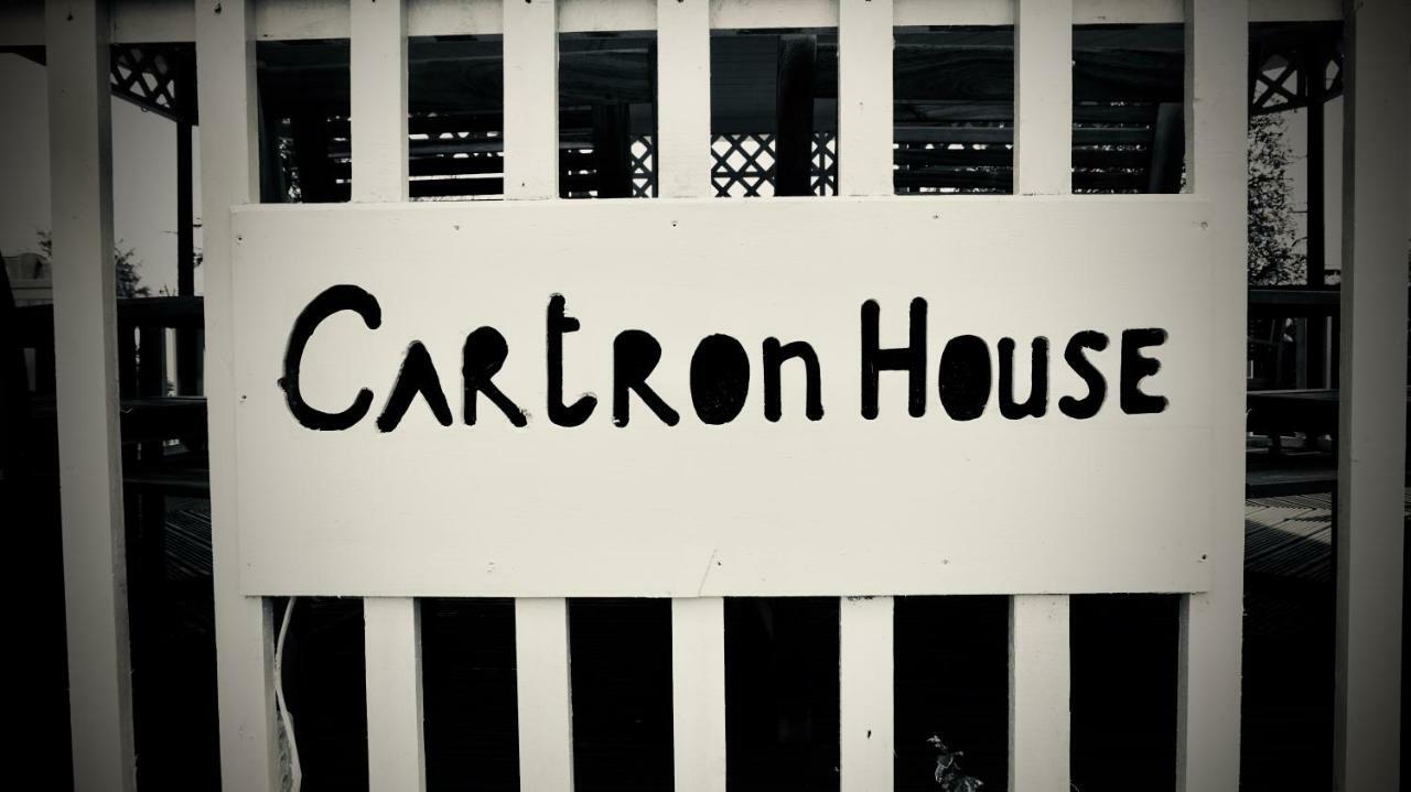 Bed and Breakfast Cartron House Ballinakill  Екстер'єр фото