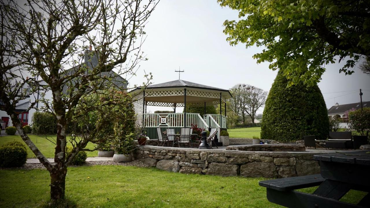 Bed and Breakfast Cartron House Ballinakill  Екстер'єр фото