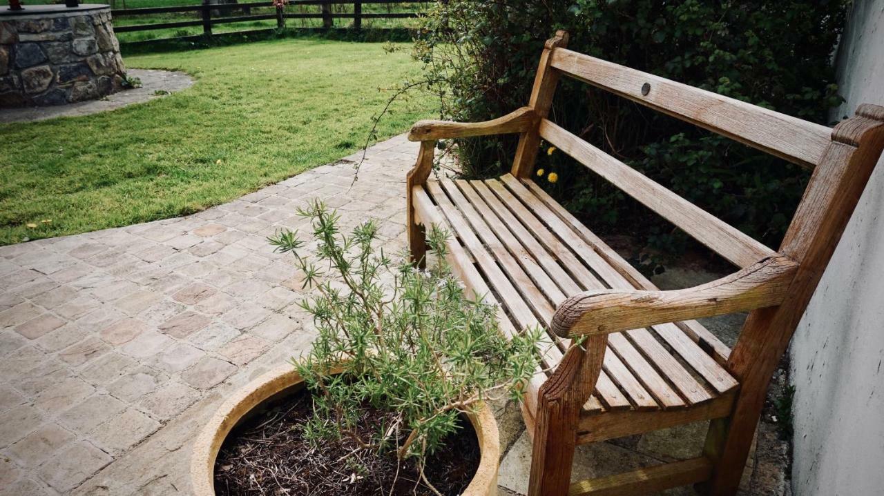 Bed and Breakfast Cartron House Ballinakill  Екстер'єр фото