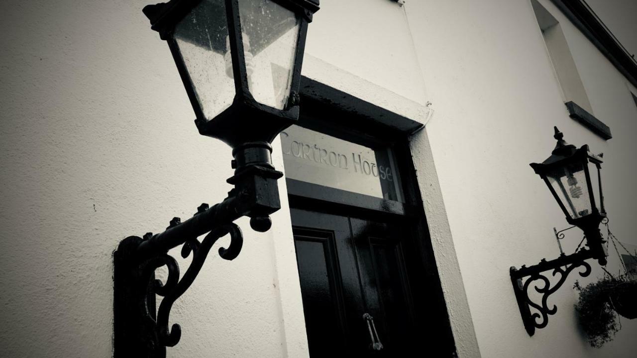 Bed and Breakfast Cartron House Ballinakill  Екстер'єр фото
