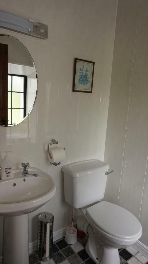 Bed and Breakfast Cartron House Ballinakill  Екстер'єр фото