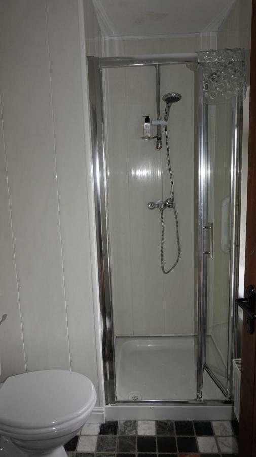 Bed and Breakfast Cartron House Ballinakill  Екстер'єр фото
